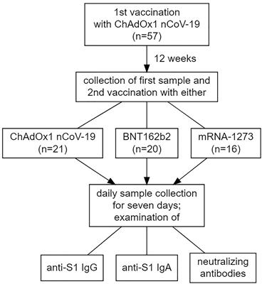 Kinetics of the Antibody Response to Boostering With Three Different Vaccines Against SARS-CoV-2